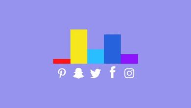 Sosyal Medya Platformları Demografik Bilgileri